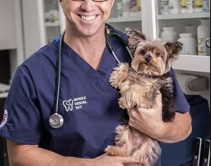 Smiling male vet wearing blue Mobile Dental Vet scrubs and a stethoscope holds a small Yorkshire Terrier dog.