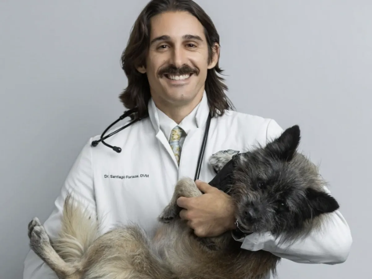 A smiling male veterinarian with a mustache holding a scruffy gray and brown dog in his arms.