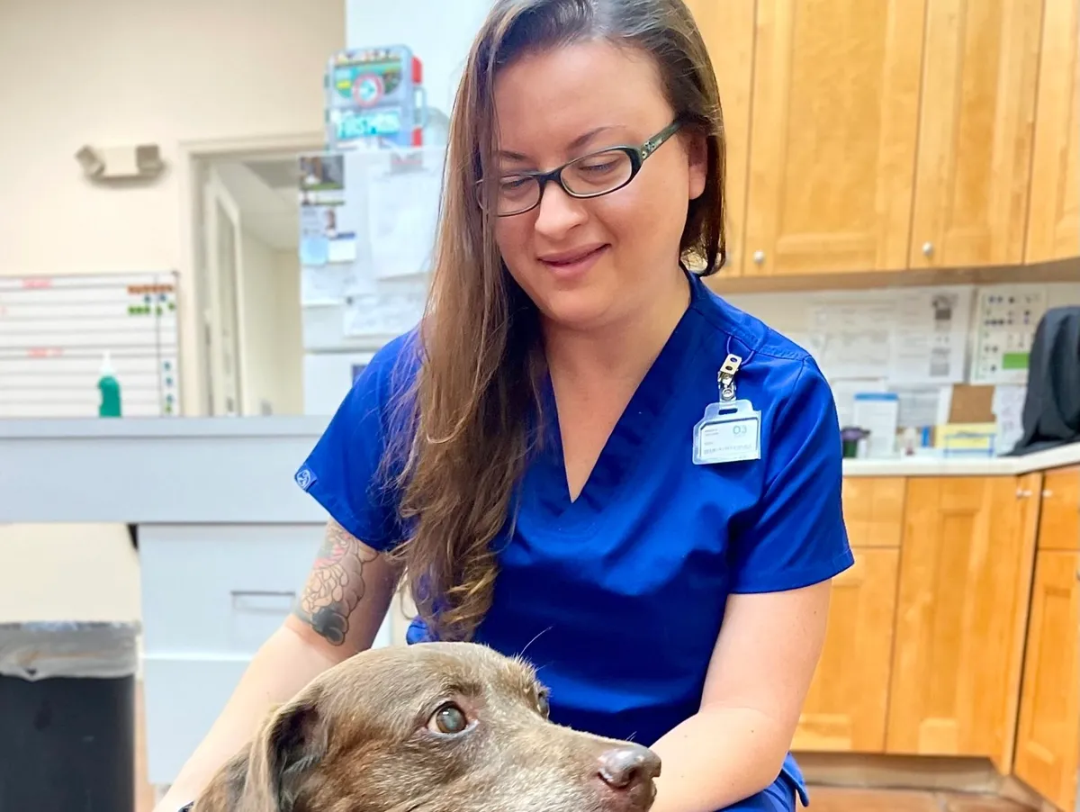 A smiling woman in blue scrubs and glasses looks down at a brown dog inside a veterinary clinic.