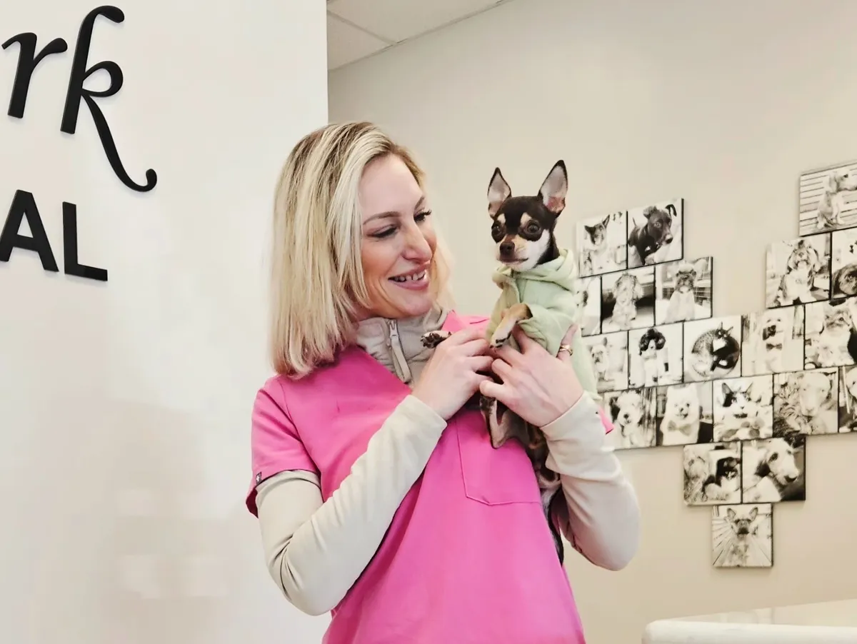 A smiling woman in pink scrubs holding a tiny Chihuahua puppy wearing a green hoodie jacket.