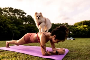 Small dog standing on a woman’s back while she holds a plank pose on a yoga mat in a grassy park at sunset