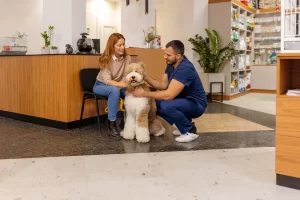Veterinarian greeting a fluffy dog with its owner in a modern veterinary clinic reception area.