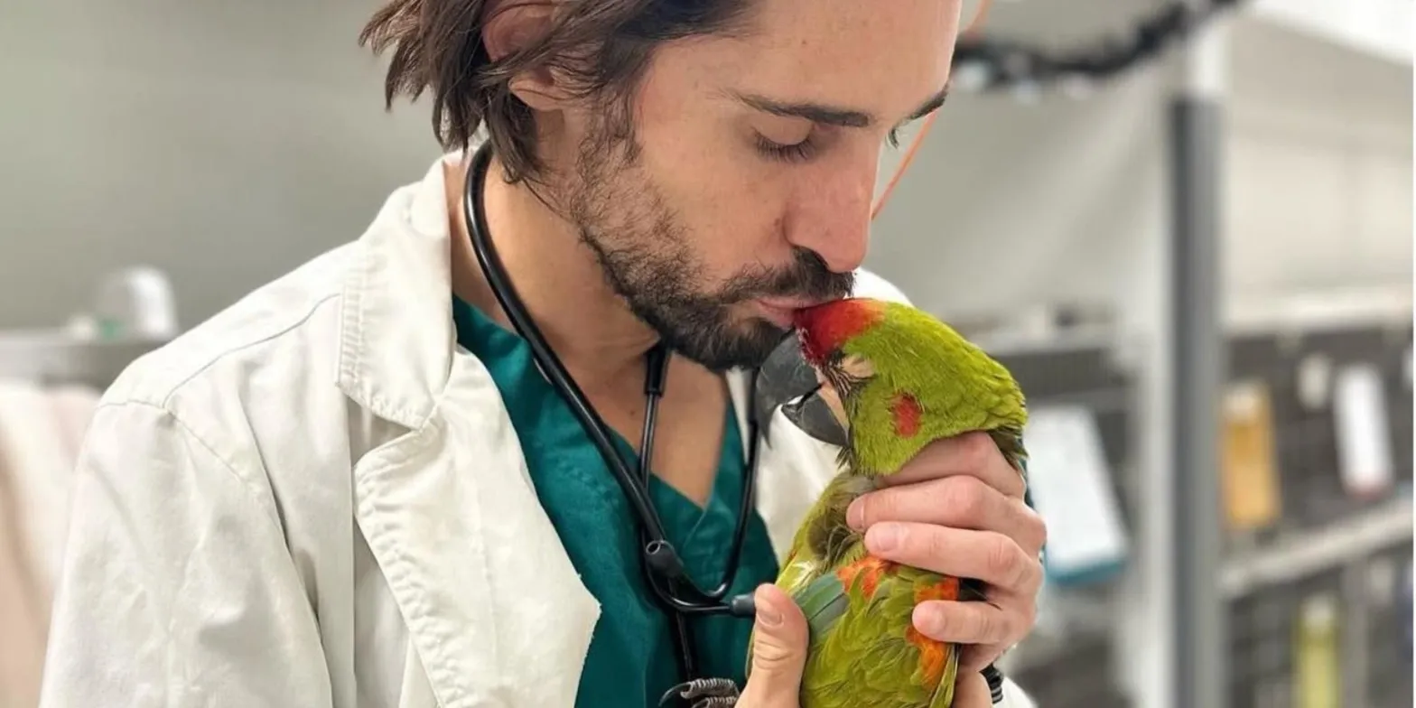 A veterinarian in a lab coat and scrubs gently holding and kissing a green parrot.