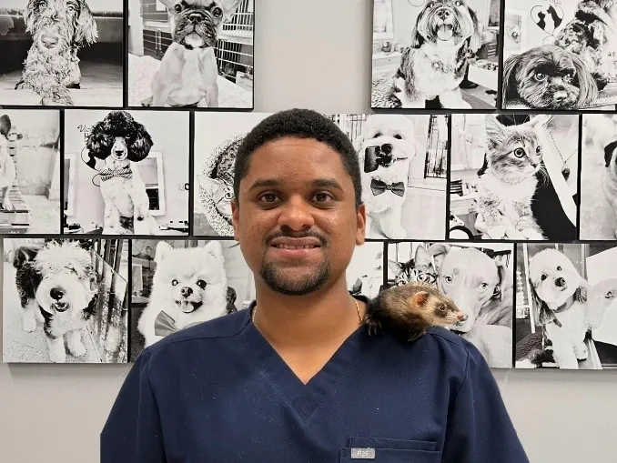 A man wearing dark blue scrubs with a ferret resting on his shoulder, standing before a wall of pet photos.