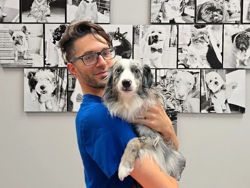 A man in blue scrubs holding a blue merle Australian Shepherd, standing in front of a wall of pet photos.