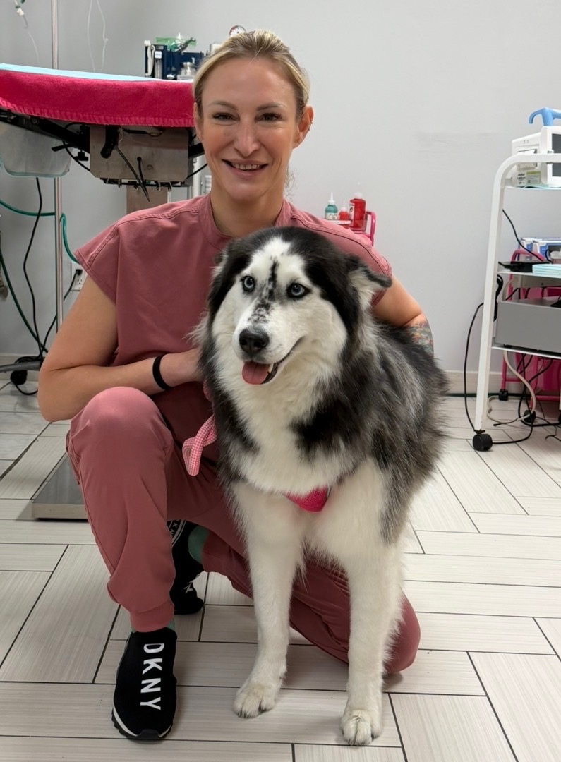 Screenshot Dental care for dog