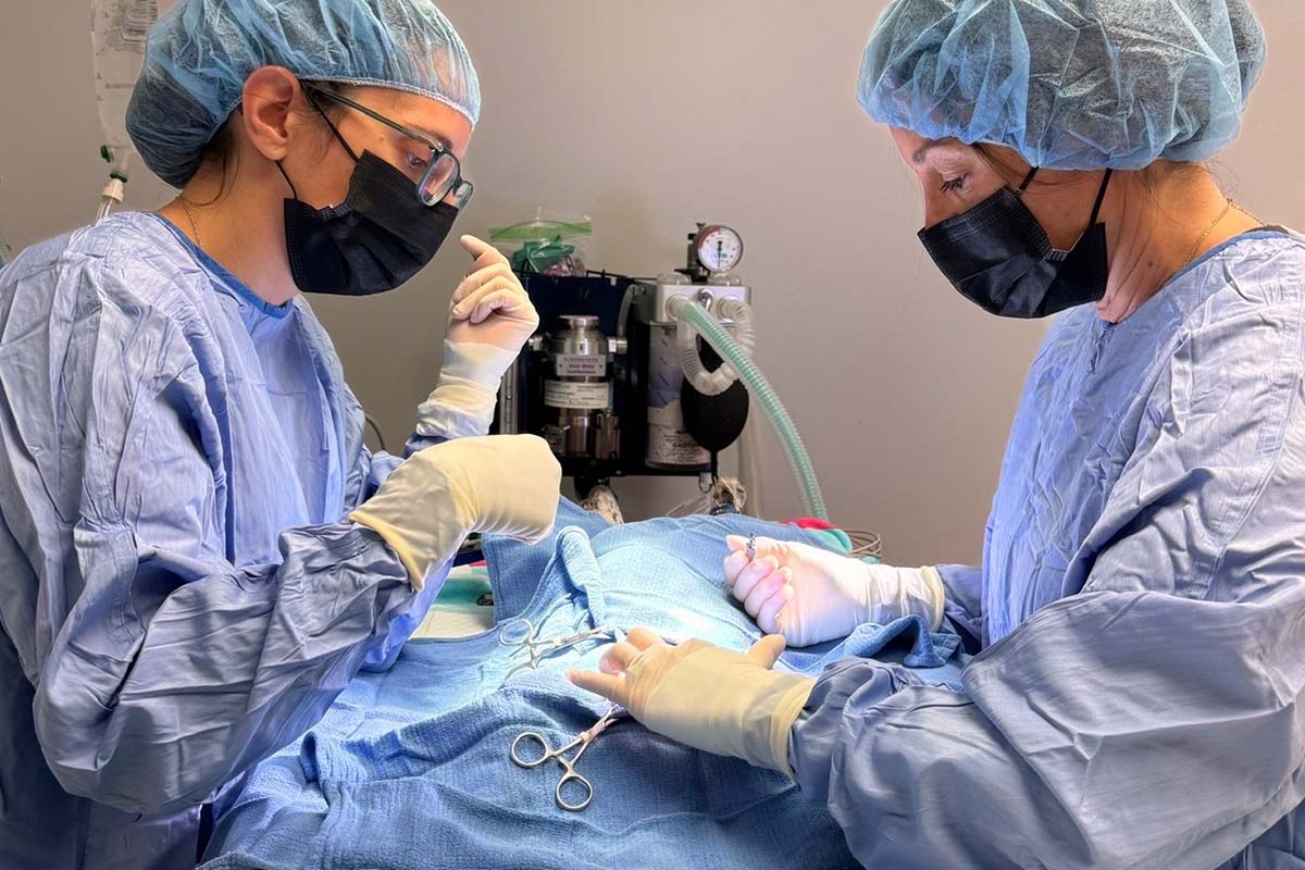 Surgical image