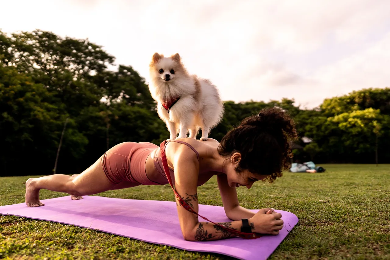 Small dog standing on a woman’s back while she holds a plank pose on a yoga mat in a grassy park at sunset